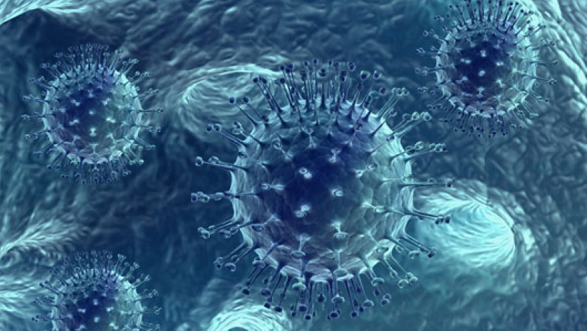 余創豪：宗教病毒？宗教進化？