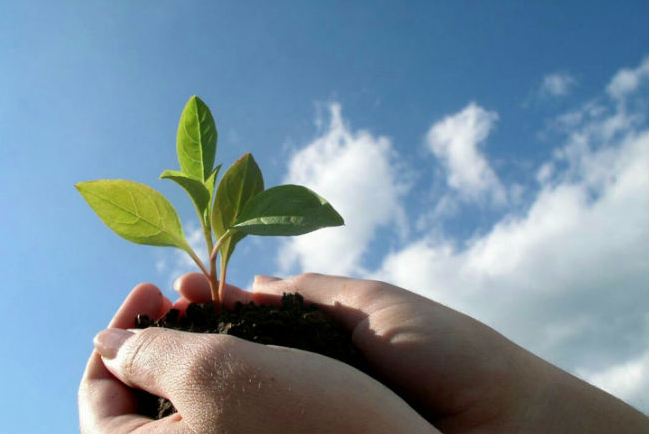 鄧灼文牧師回歸《聖經》談「合一增長三個原因」