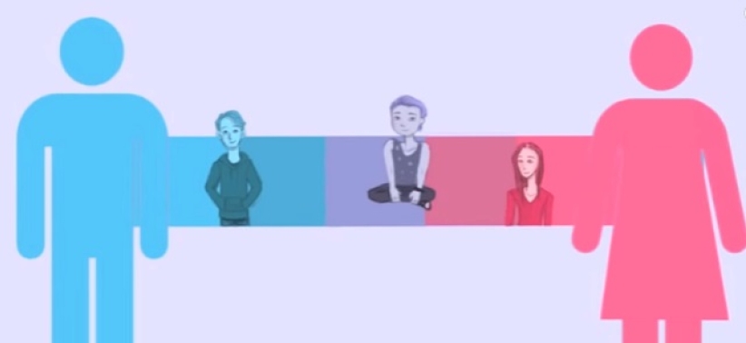 两大重量级博士权威报告：以科学破解同性恋、变性迷思