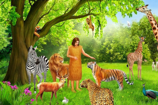 大棠荔枝園「疑虐動物事件」反思 創世記人與動物共融生活