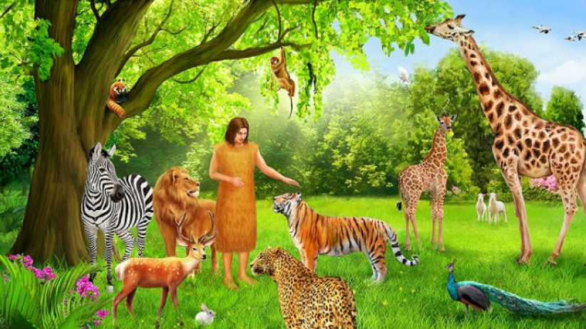 大棠荔枝園「疑虐動物事件」反思 創世記人與動物共融生活