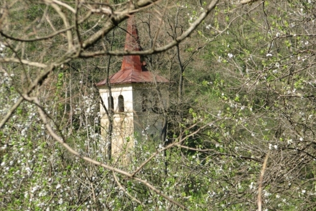 教會隱世？ 調查揭青少年離教導火線