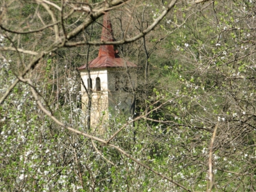 教会隐世？ 调查揭青少年离教导火线