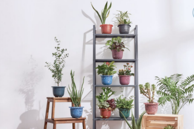 鞋商二代創業 環保鞋印《聖經》經文傳祝福