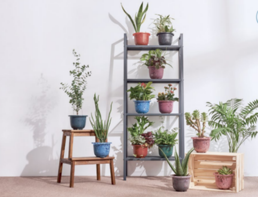 鞋商二代创业 环保鞋印《圣经》经文传祝福