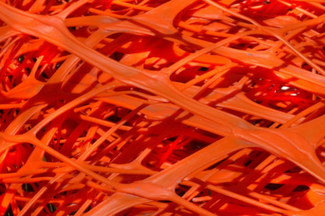 網紅年代福或禍？ 教會游走網絡世界需智慧