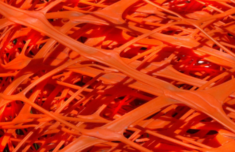 網紅年代福或禍？ 教會游走網絡世界需智慧