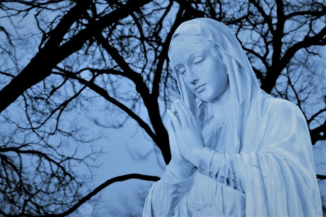 教牧參政去多盡？ 神學院長冀生命改革社會