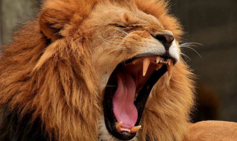 拒權力冒殉道 牧者籲信徒唯愛上帝