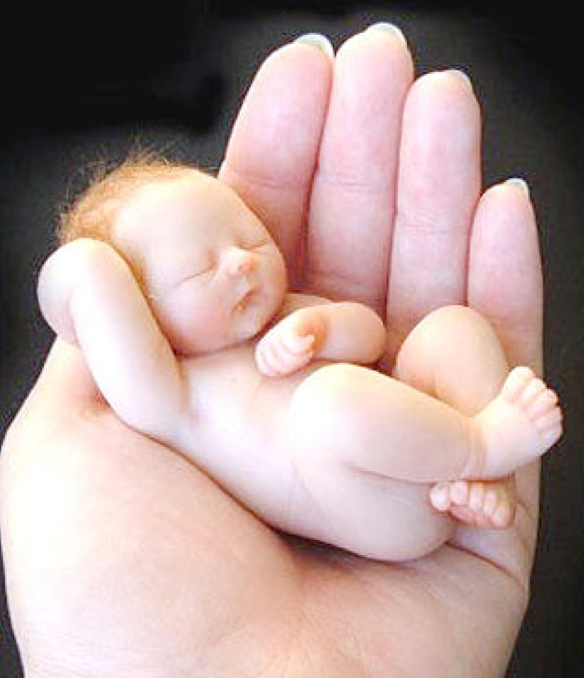 難以置信！三藩市禁公務員到訪反墮胎州分 