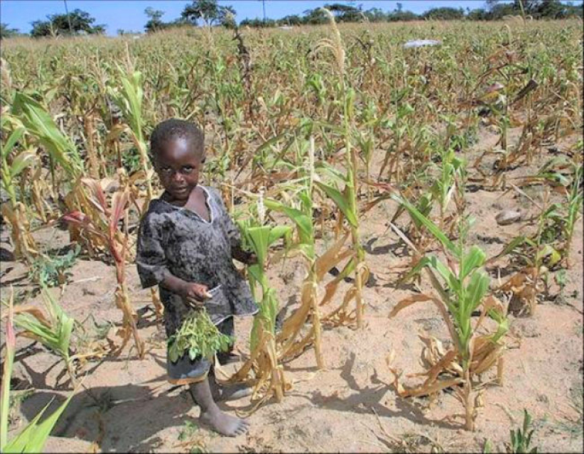 協進會世界公禱日 籲教界關注津巴布韋糧荒  