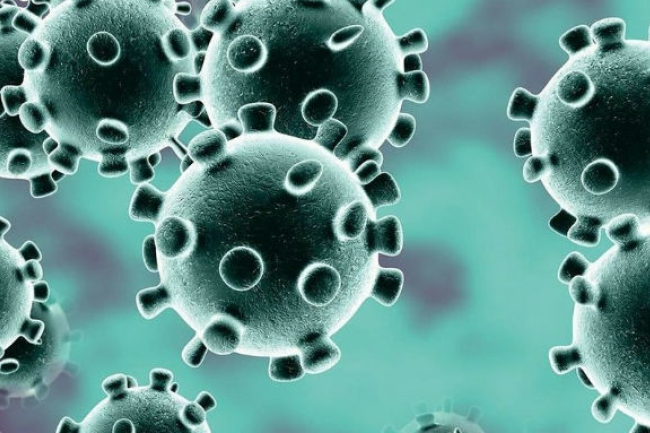 香港現首宗肺炎死亡個案 六宗教領袖祈全港市民同心抗疫