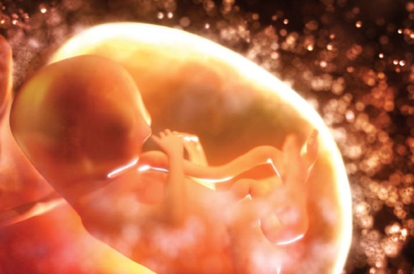 天主教會慶祝「生命日」 促大眾維護天主賜予人的價值    