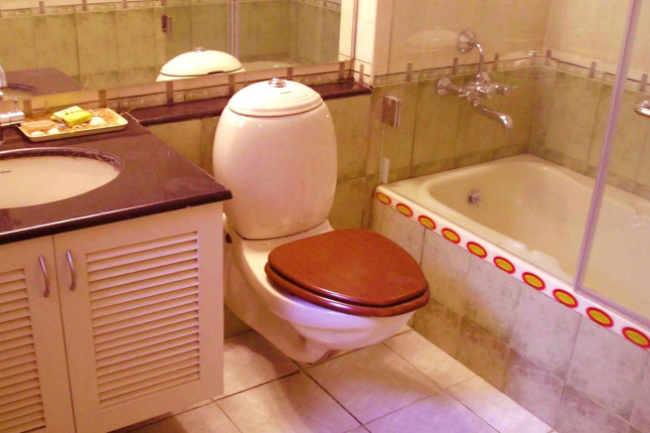 明光社推通識視頻 首集:病毒藏黑廁城市規劃成疑