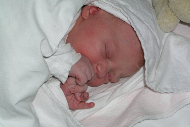 川普簽署行政命令保護流產嬰兒:捍衛神聖生命權