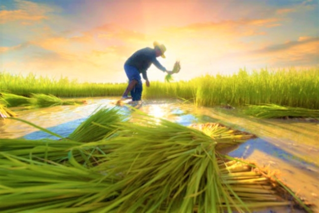 證道論金錢:思維逆轉貧窮變富足