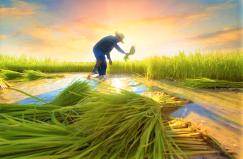 证道论金钱：思维逆转贫穷变富足 