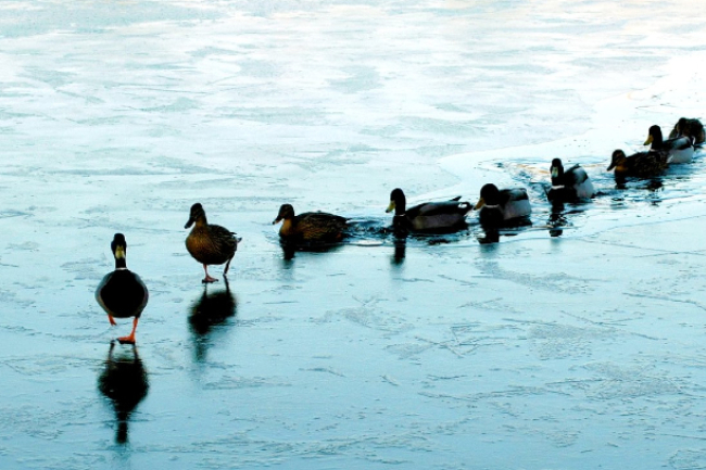 寇紹恩牧師談領袖特質:具影響力導人回正軌