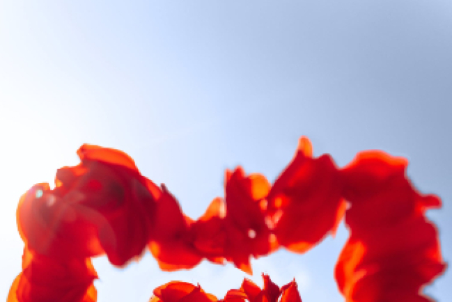 性成癮離婚率達五成 心理學家:色情扭曲愛