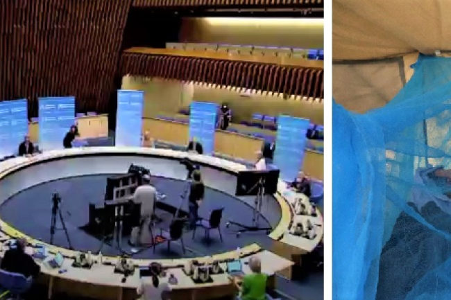 疫苗恐慌 世衛發表聯署籲公平分配