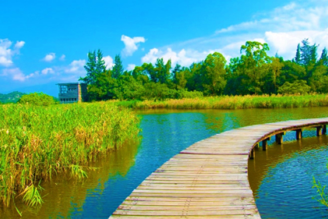 團體發起環保聯署 促港府加快立法保護海洋