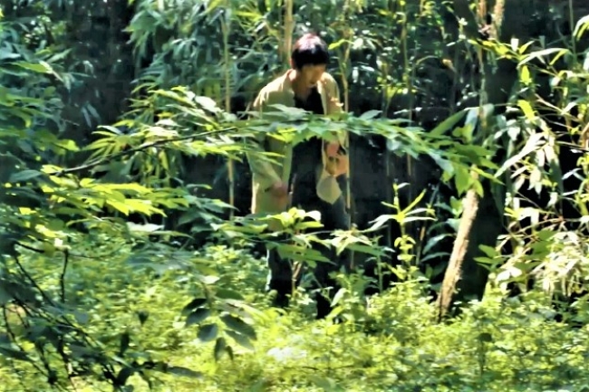 中亞秘密信徒怎樣生活？ 森林藏聖經 染疫遭虐待