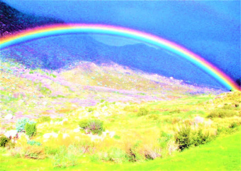 上帝救災5方法：做好準備實事求是     