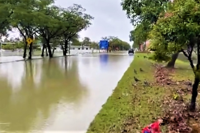 洪水襲大馬 團體送電池照亮家庭