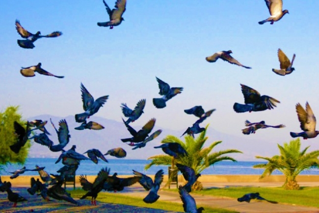 世界和平日：「教育、工作、世代對話」建設社會