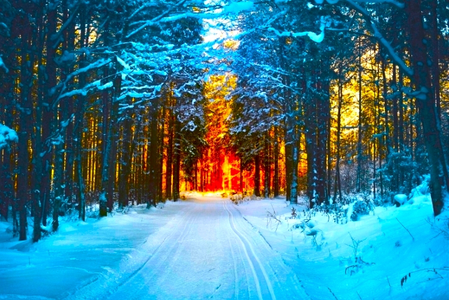 香港基督教機構：過半財務感壓力、七成前景持負面