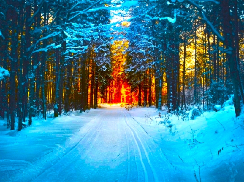 香港基督教機構：過半財務感壓力、七成前景持負面 