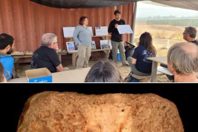 發現150萬年人類椎骨 揭開非洲史前移民故事