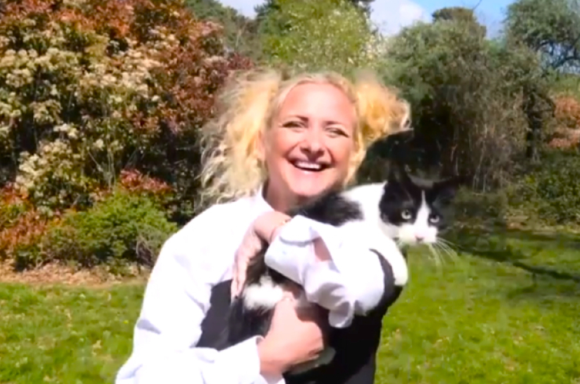 奇聞：英國人貓結婚竟然為了…… 