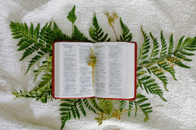 蓋洛普民調：美基督徒相信聖經是直譯下降至2成