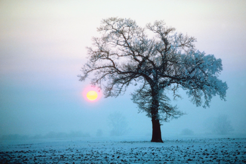 能源价格飙升 英教堂联合解市民寒冬  
