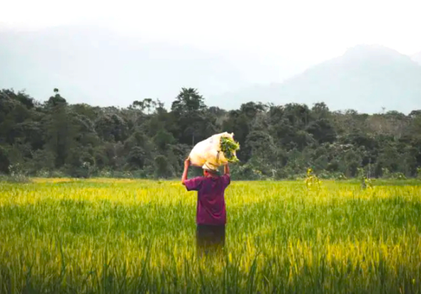 非美歐基督教團體聯署 呼籲兌現氣候變化承諾