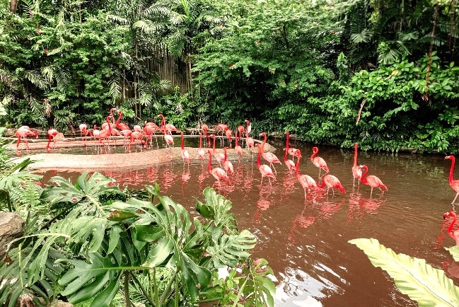 世界濕地日 動植物繁殖地半世紀消失35%