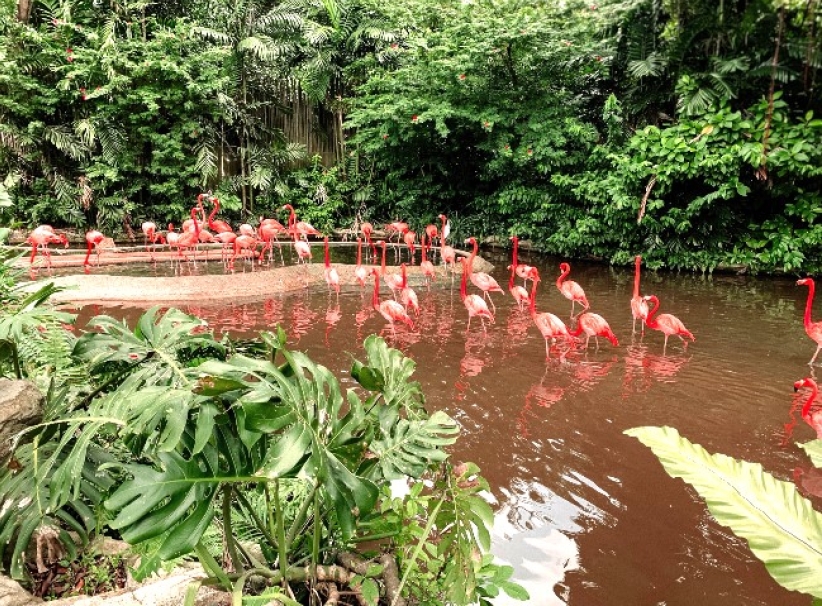 世界濕地日 動植物繁殖地半世紀消失35% 