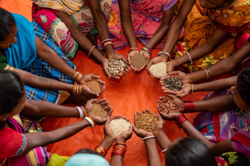 公平贸易组织倒闭 农民生计受影响 