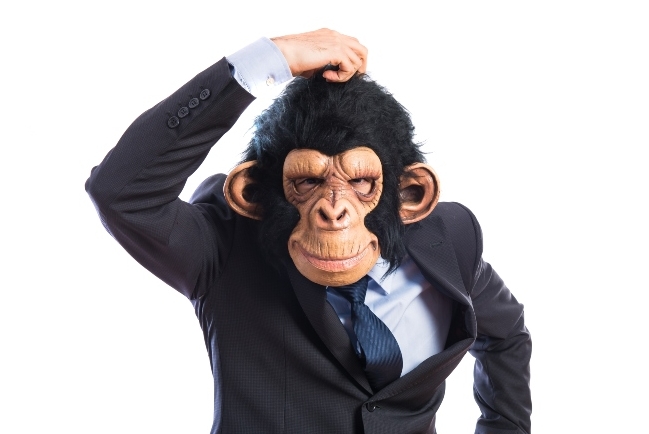 假如有一天黑猩猩問人類：我從哪裡來？