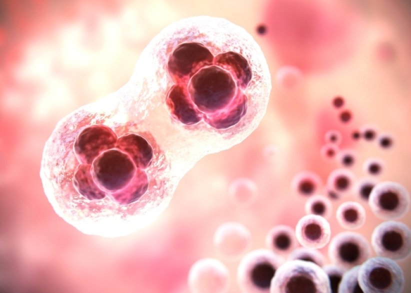 我是谁？英国首批「三亲婴儿」疑越过伦理底线 