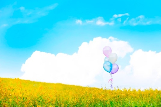 協進會「生態關懷主日」禱文：詠嘆上帝造物共創美好世界　