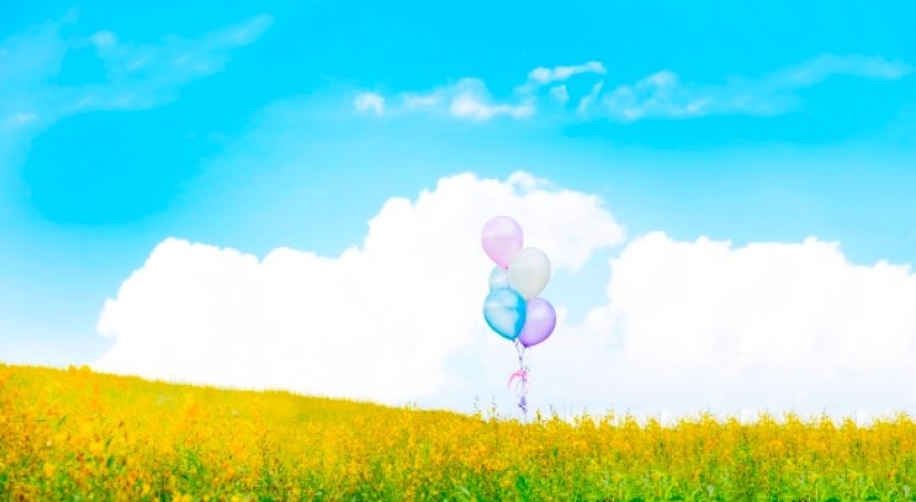 協進會「生態關懷主日」禱文：詠嘆上帝造物共創美好世界　