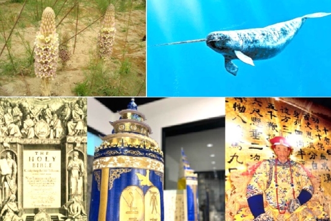 影音使團特備節目：步行探秘「不由你不信」福音體驗館