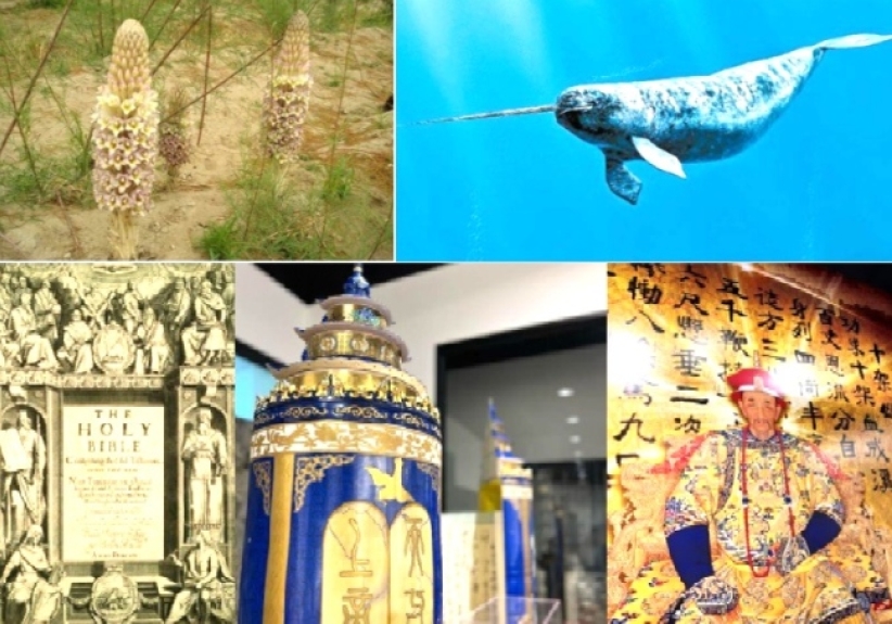 影音使团特备节目：步行探秘「不由你不信」福音体验馆