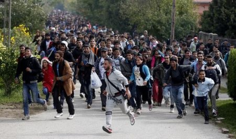 Migrants