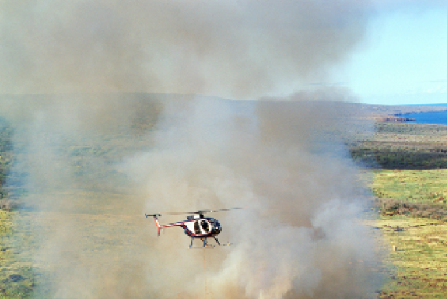 氣候峰會！香港青年撰立場書交聯合國 教界推整體生態學