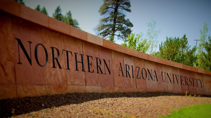 Arizona School