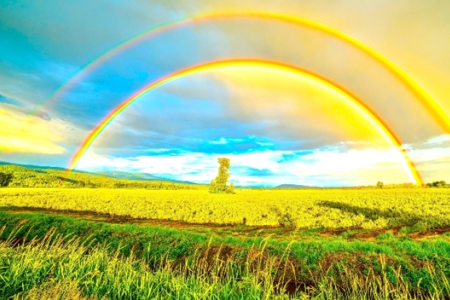 世界地球日快樂！環境保護4式人人做得到