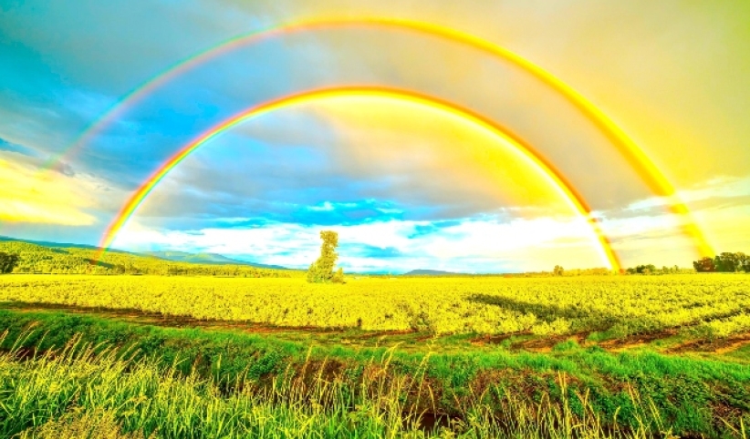 世界地球日快乐！环境保护4式人人做得到 